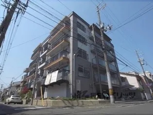 グレーシー高野の画像