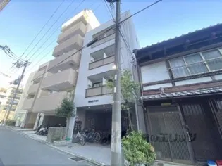 ゴールドテラオの画像