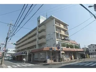 坪内マンション【302号室】の外観