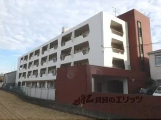 ロイヤルハイツ藤田【401号室】の外観