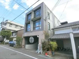 ウィルネスの画像