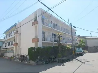 コーポ古波蔵【207号室】の外観