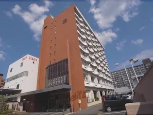 グリシーヌ京都西京極【9階】の外観