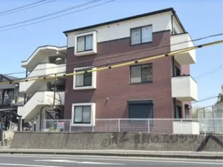 ボナールZの画像