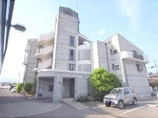 スペイシャス桂の画像