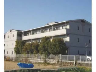 ターンドール西野の画像