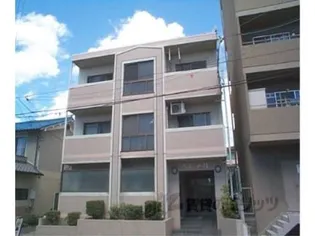 アネール桂の画像