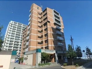 エリセオびわ湖【405号室】の外観