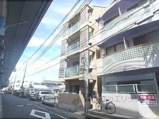 ヴィヴィモラドの画像