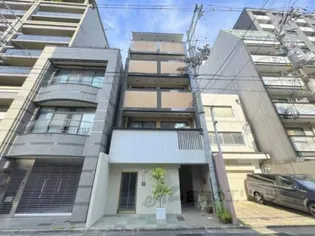 AMARE亀乃子の画像