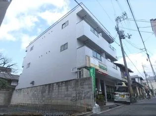 キュリー岡崎の画像