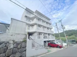 サンハイツ大新【410号室】の外観