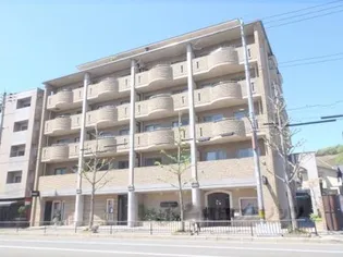 GRACEとーべえの画像