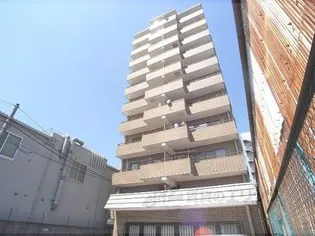 グレース11の画像