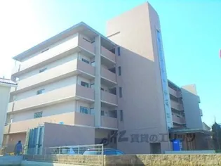 バウムドルフの画像