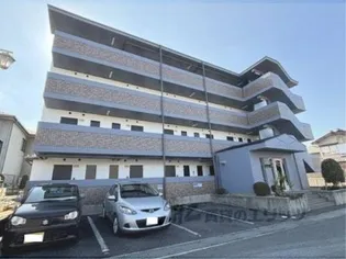 マリーブの画像