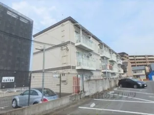 サークルファイブの画像