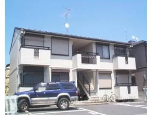 プリマベラの画像