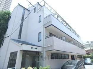セラー大路の画像