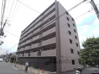 スプルース ティカの画像