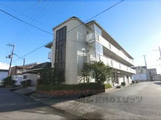 グリーンメゾン白鳥の画像