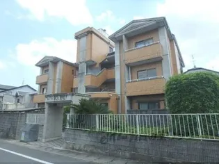 マテンソレイユの画像