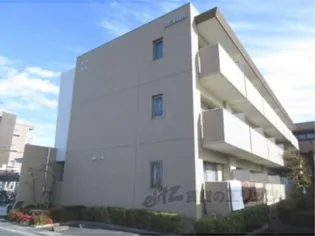 サンオリーブの画像