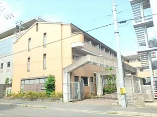 メゾン・ラ・ココネ【108号室】の外観