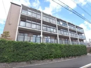 サンパープルたけじの画像