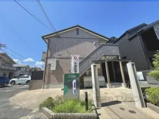 アムール西桂の画像