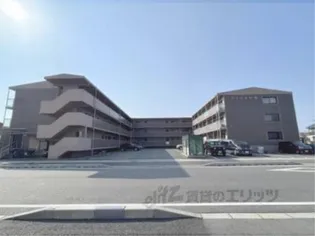 ロイヤル伊勢【110号室】の外観