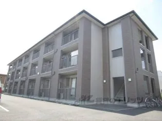 パールコートの画像