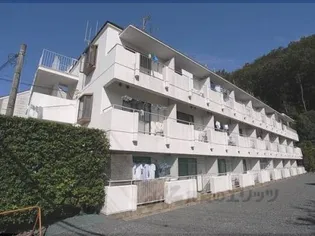 シャンブル望月【305号室】の外観