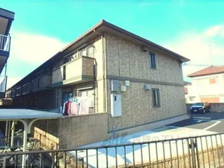 RADIX TAUCHIIIの画像