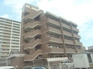 ラリカソール ヒヨの画像