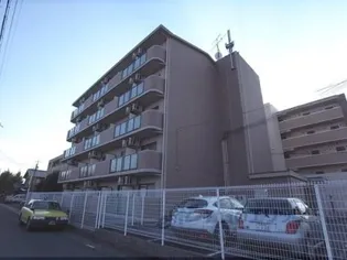 アン レーブの画像