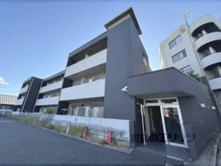 ヴィヴィ紫野の画像