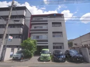 SPRUCE TONE MFの画像