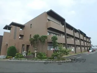 ダンデライオンの画像