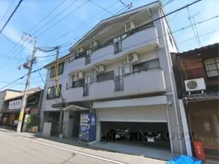 プラム21の画像