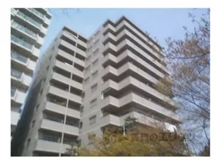 フォルム五条通り【7階】の外観