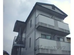 グランドールカキノキの画像