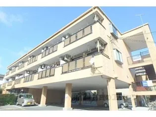 アドニス大崎の画像