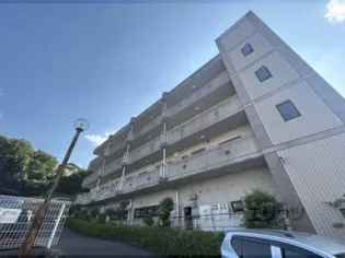 アヴニールの画像