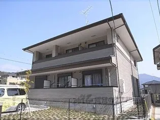 ヒラソル ナツAの画像