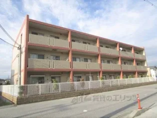 セレーノ プリマヴェーラの画像