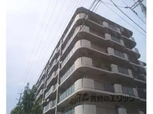 パレス洛北の画像