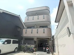 ラヴィアンローズの画像