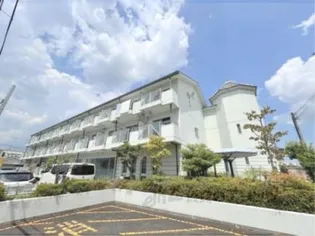 イマージュVの画像