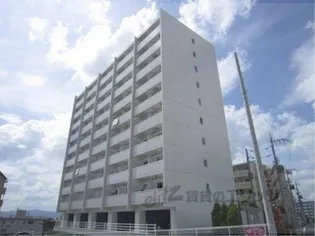 FELICIAうさぎの画像